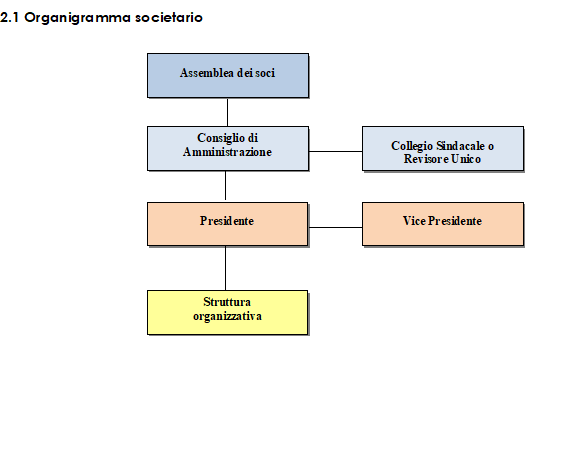 Organiagramma societario